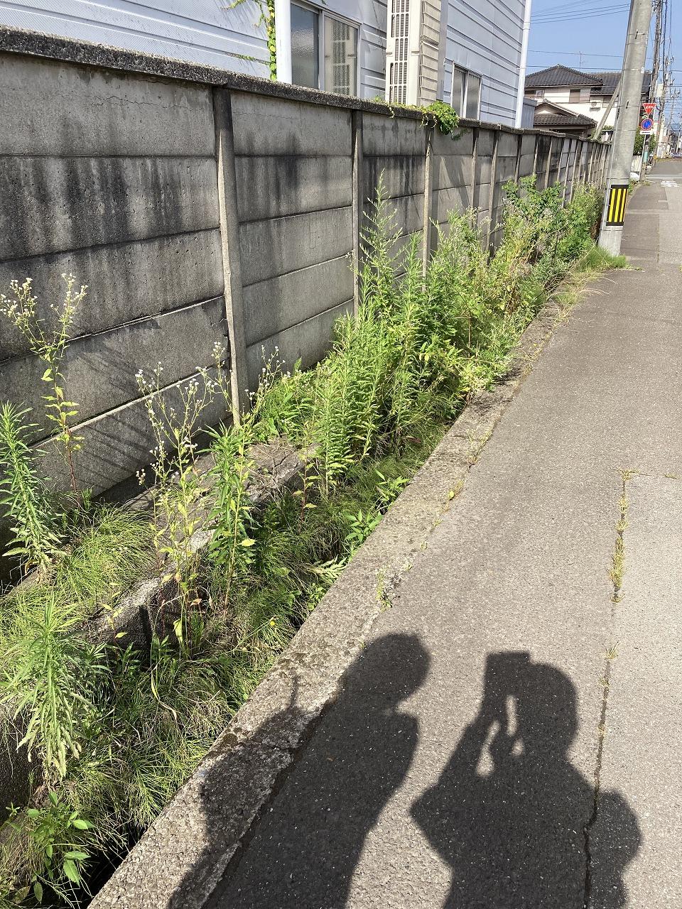 会社の外周清掃を行いました！