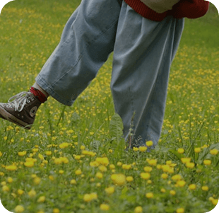 新入社員研修とキャリアパス