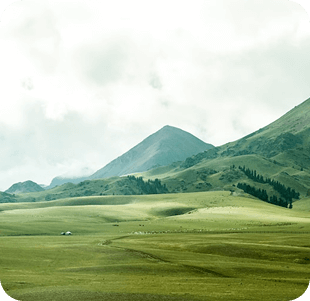 おすすめしたい理由