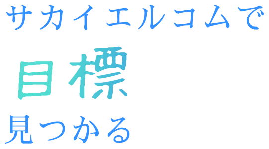 サカイエルコムで目標見つかる